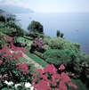 Santa Caterina 